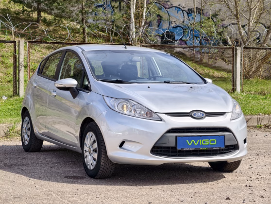Ford Fiesta (1)