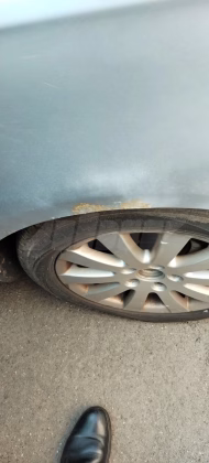 Volkswagen Passat (8)