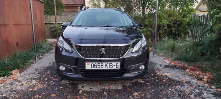 Peugeot 2008 (6)