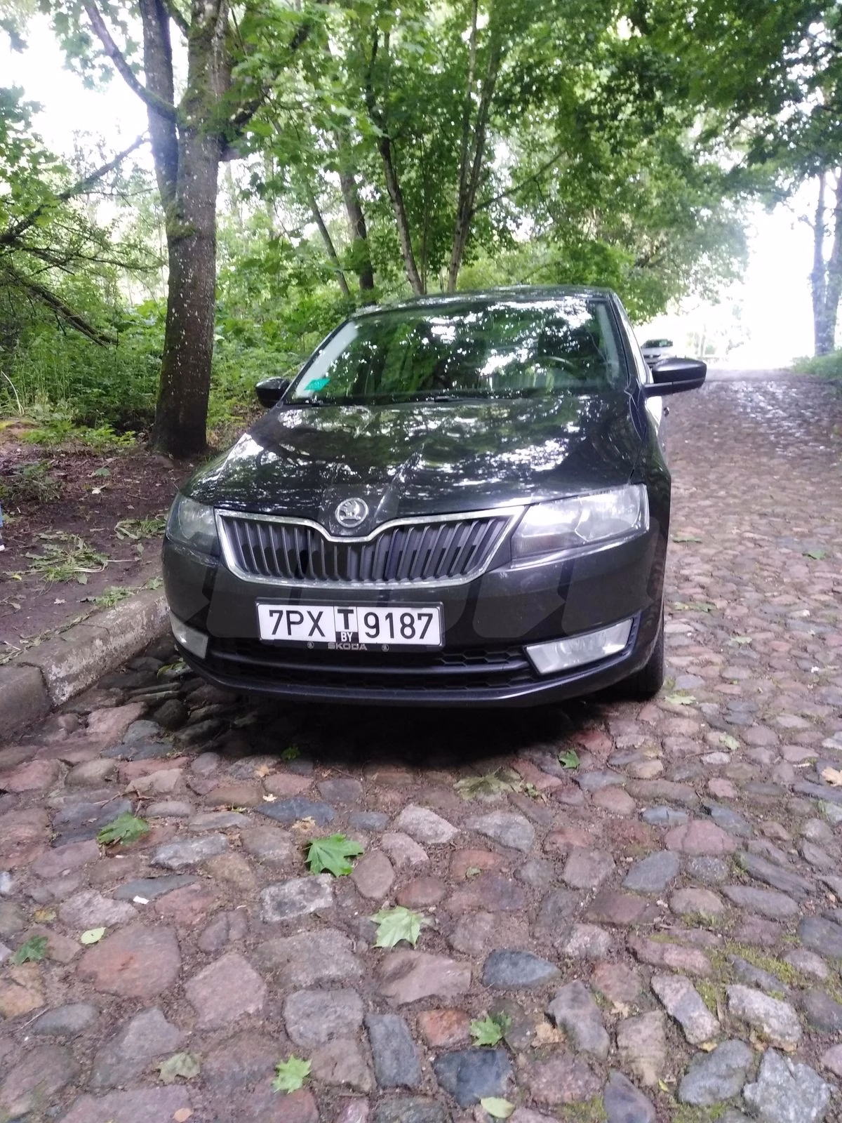 Skoda Rapid