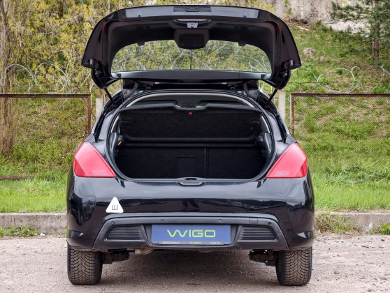 Peugeot 308 (7)
