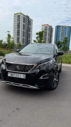 Peugeot 3008 (11)