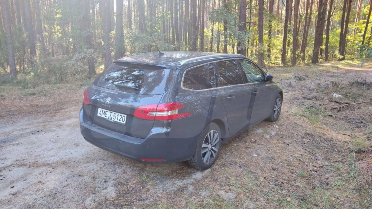 Peugeot 308 (1)