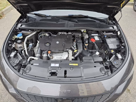 Peugeot 308 (25)