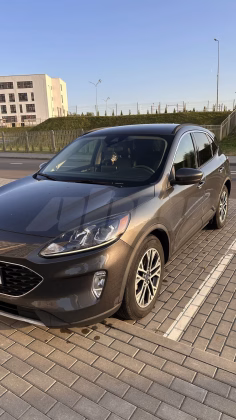 Ford Escape (1)