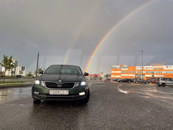 Skoda Octavia (1)